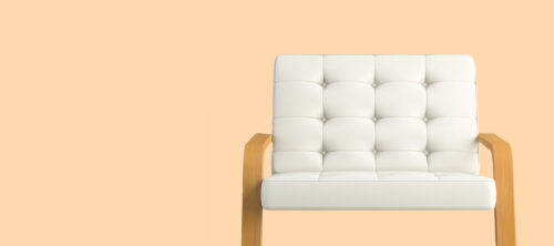 Mini Astrophytum Cat Img 2@2x 1 500x222