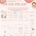 Organizador de Gastos Imprimible PDF | Planner Financiero 2026 | Agenda de Finanzas Digital Aesthetic
